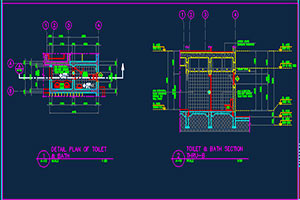 Bathroom and Toilet Detailed Plan & Section